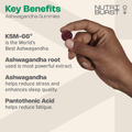 Image 2 for Ashwagandha Ksm-66 60 Gummies