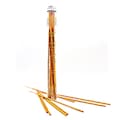 Psychic Sisters Abundance Incense Sticks 14 Sticks
