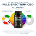 Image 4 for CBD Gel 50mg 30 Capsules