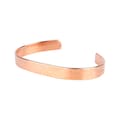 Holland & Barrett Copper Bracelet