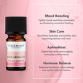 Image 3 for Rose Absolute Pure Essential Oil 2ml