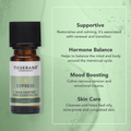 Image 3 for Cypress Wild Crafted Pure Essential Oil 9ml