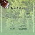 Image 4 for Cypress Wild Crafted Pure Essential Oil 9ml