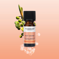 Image 2 for May Chang Pure Essential Oil 9ml