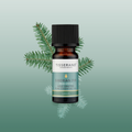 Image 2 for Siberian Fir Wild Crafted Pure Essential Oil 9ml