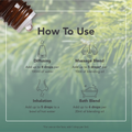 Image 4 for Siberian Fir Wild Crafted Pure Essential Oil 9ml