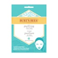 Burt's Bees Purifying Face Mask 9.35g