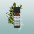 Image 2 for Rosemary Organic Pure Essential Oil 9ml