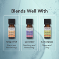 Image 5 for Rosemary Organic Pure Essential Oil 9ml