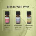 Image 5 for Bergamot Organic Pure Essential Oil 9ml