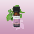 Image 2 for Patchouli Organic Pure Essential Oil 9ml