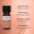 Image 3 for Ginger Organic Pure Essential Oil 9ml