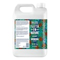 Faith in Nature Coconut Hand Wash 5 Litre