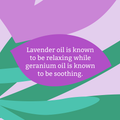 Image 5 for Faith In Nature Hand & Body Lotion Lavender & Geranium 400ml