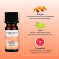 Image 3 for Energy Boost Diffuser Oil 9ml