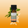 Image 2 for Petitgrain Pure Essential Oil 9ml