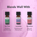 Image 5 for Palmarosa Pure Essential Oil 9ml