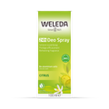 Image 2 for Citrus Fresh Deo Spray 100ml
