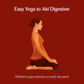 Image 4 for Organic Stomach Ease 17 Tea Bags