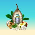 Image 2 for Good Gut Apple Cider Vinegar Shot 12x 60ml