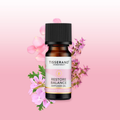 Image 2 for Restore Balance Diffuser Oil 9ml