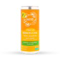 Image 1 for Focus Kombucha 250ml