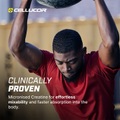 Image 3 for Cor-Performance Creatine 306g