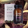 BIOME Chaga Mushrooms with Curcumin + Ginger 60 Vegan Capsules