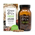 Image 1 for FOCUS Lion's Mane Mushrooms with Ginseng + Omega-3 60 Vegan Capsules