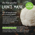 Image 5 for FOCUS Lion's Mane Mushrooms with Ginseng + Omega-3 60 Vegan Capsules