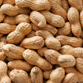 Image 3 for Roasted Monkey Nuts 300g