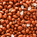 Image 3 for Jumbo Blanched Peanuts 200g