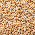 Image 3 for Pine Nuts 100g