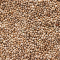 Image 3 for Roasted Hemp Seeds 200g