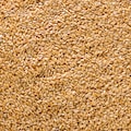 Image 3 for Golden Flaxseed 500g