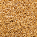 Image 3 for Golden Flaxseed 500g
