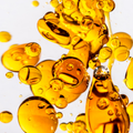 Image 3 for Cinnamon Leaf Pure Essential Oil 10ml