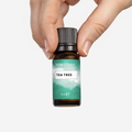 Image 4 for Tea Tree Pure Essential Oil 10ml