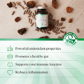 Image 3 for Organic Chaga Mushroom 60 Vegan Capsules