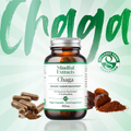 Image 5 for Organic Chaga Mushroom 60 Vegan Capsules
