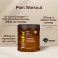 Image 2 for Post Workout Orange & Mango 300g