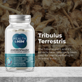 Image 5 for Andropause 55+ Testosterone Support 60 Capsules