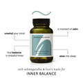 Image 2 for CALM & COLLECTED with Ashwagandha and Lion's Mane 60 Vegan Capsules