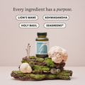 Image 4 for CALM & COLLECTED with Ashwagandha and Lion's Mane 60 Vegan Capsules