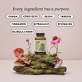 Image 4 for DAILY DEFENCE with Astragalus and Super-shrooms 60 Vegan Capsules