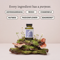 Image 4 for DOZE & DREAM with Reishi and Ashwagandha 60 Vegan Capsules