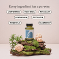 Image 4 for FOCUS & CLARITY with Lion’s Mane and Holy Basil 60 Vegan Capsules