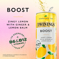 Image 3 for Boost Lemon & Ginger Sparkling Tea 250ml