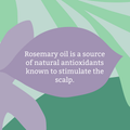 Image 5 for Faith In Nature Shampoo for Normal Hair Rosemary 5L