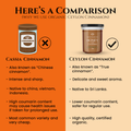 Image 3 for British Honey with Cinnamon 240g